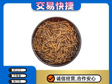 马鞍山高价回收散虫草